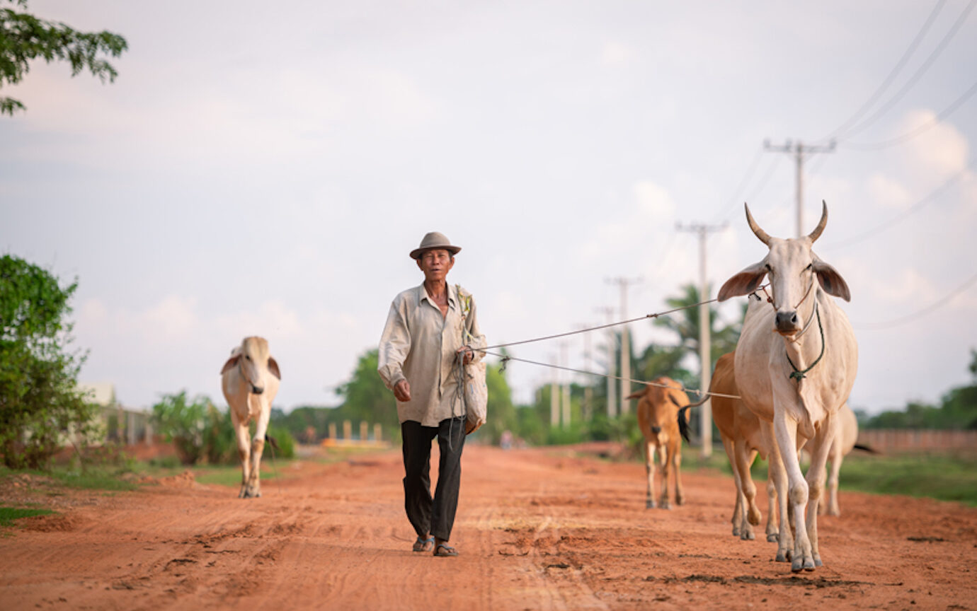 Hidden Gem & Highlights of Siem Reap City Tour